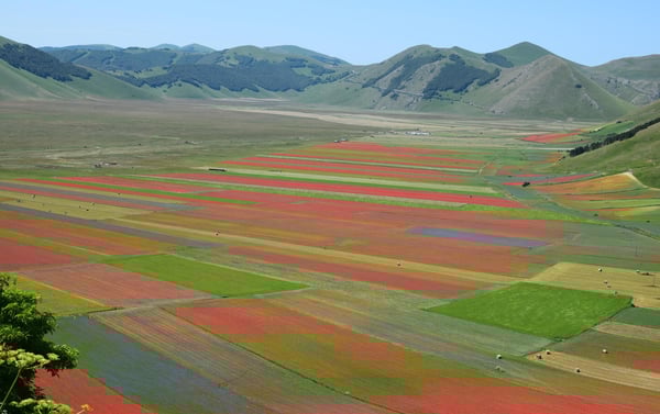 DH Villas - Castelluccio di Norcia