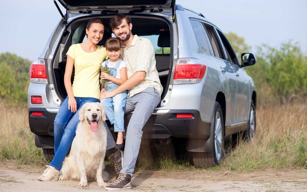 DH Villas - Viaggiare in Italia con un cane
