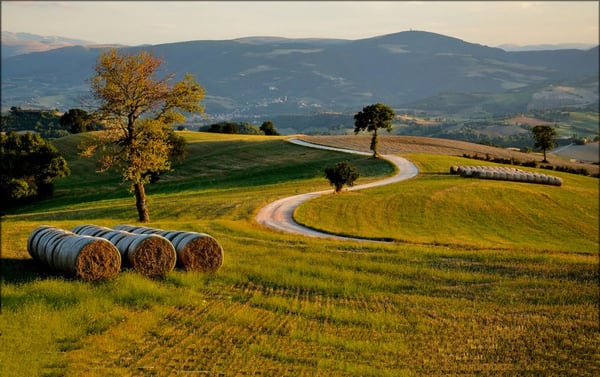 DH Villas - Mogliano Marche e l'artigianato