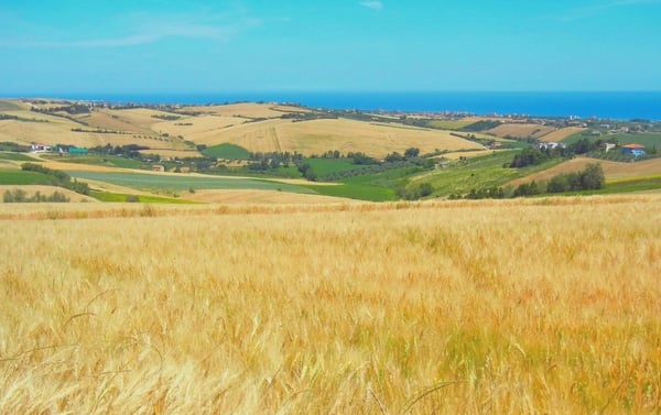 DH Villas - Montescudo
