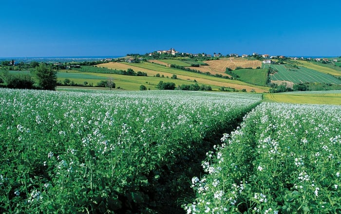 DH Villas - San Clemente of Rimini