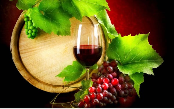 DH Villas - Grape festival of Cupramontana