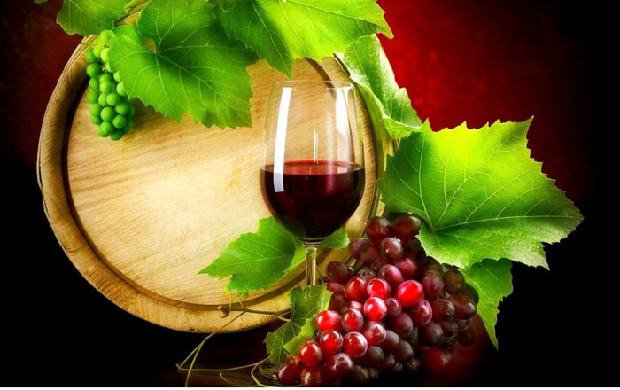 DH Villas - Grape festival of Cupramontana