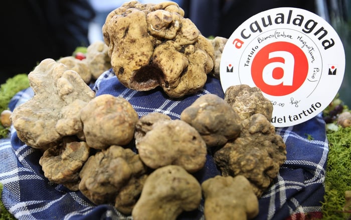 DH Villas - Fiera del tartufo di Acqualagna