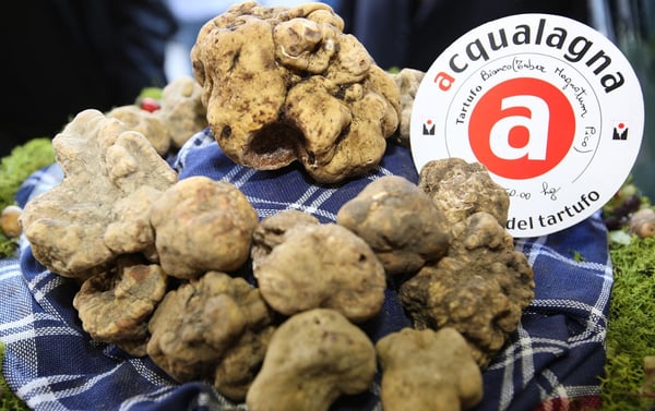 DH Villas - White truffle fair