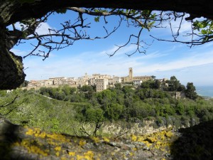 torre di palme