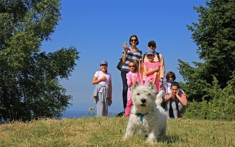 travel to italy with a dog